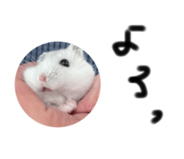543534813
