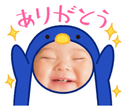 543536950