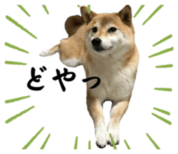 543538403