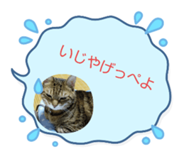 543550204