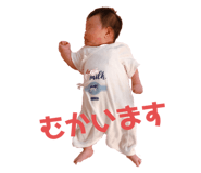 543550281