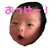 543550284