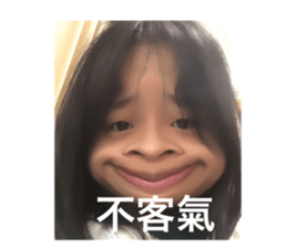 543550894