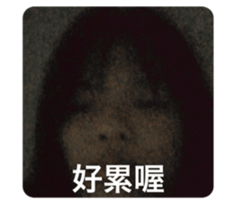 543550895