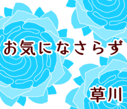 54362636