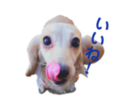 543653703