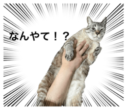 543671006