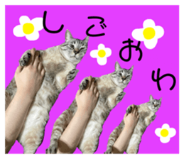 543671016