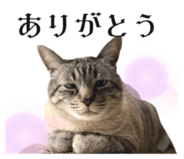 543671017