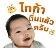 543686818