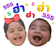 543686825