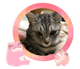 543689859