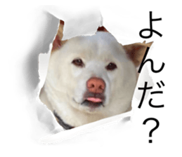 543691786