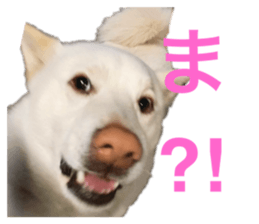 543691792