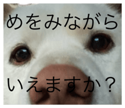 543691799