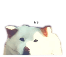 543691813