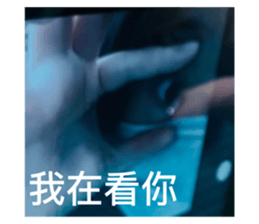 543697503
