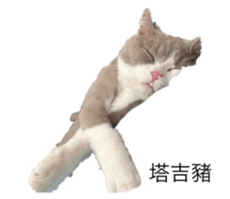 543706480