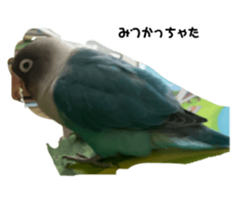 543717369