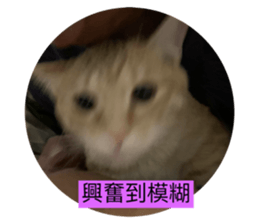 543743109