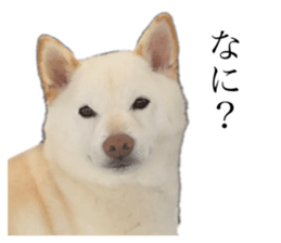 543770518
