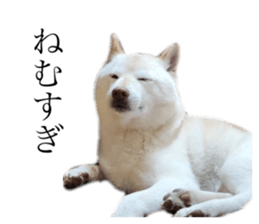 543770525