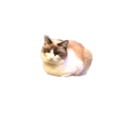 543773315