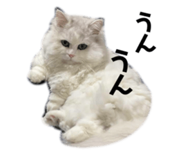 543775683