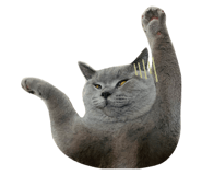 543778546