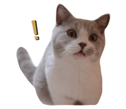 543778547