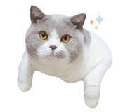 543778558
