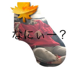 543781858