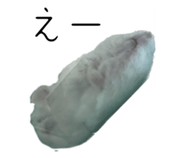 543782176