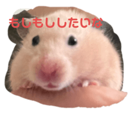 543787728