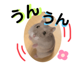 543794595