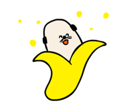 5438153