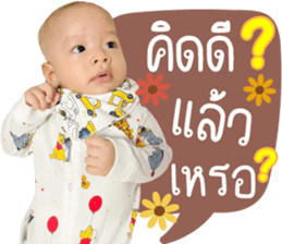 543863577