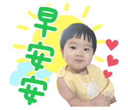 543864415