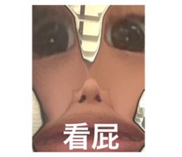 543876653