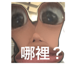 543876654