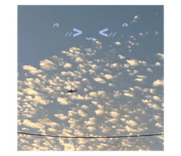 543925663