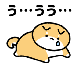 543973094