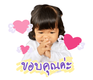 543981447