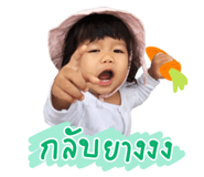 543981454