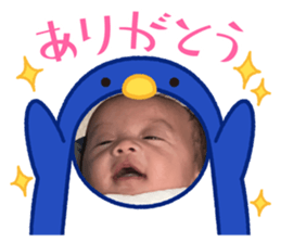 543990588