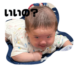544002640