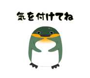 544006298
