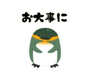 544006300
