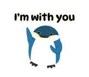544006365