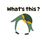544006370
